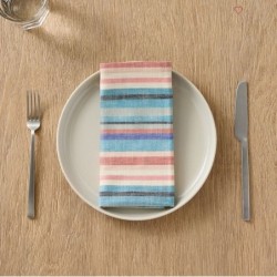 Organic Cotton Rays Striped Napkins (Set Of 4)