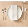 European Flax Linen 51cm X 51cm Napkin Set