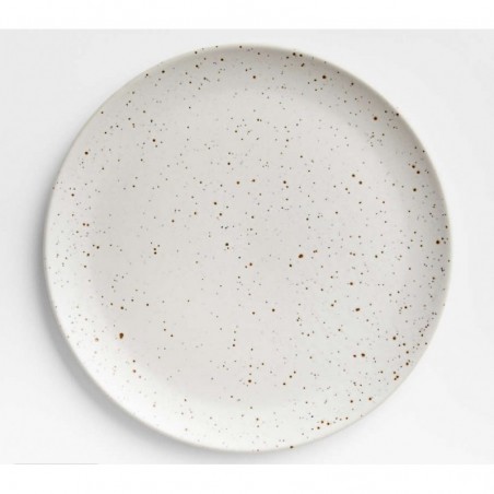 Craft Speckled White Dinner Plate