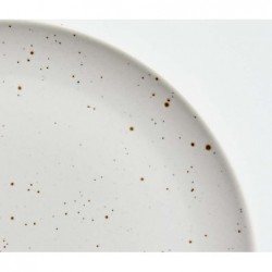 Craft Speckled White Dinner Plate